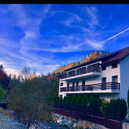 House Of River Moeciu De Sus Dış mekan fotoğraf