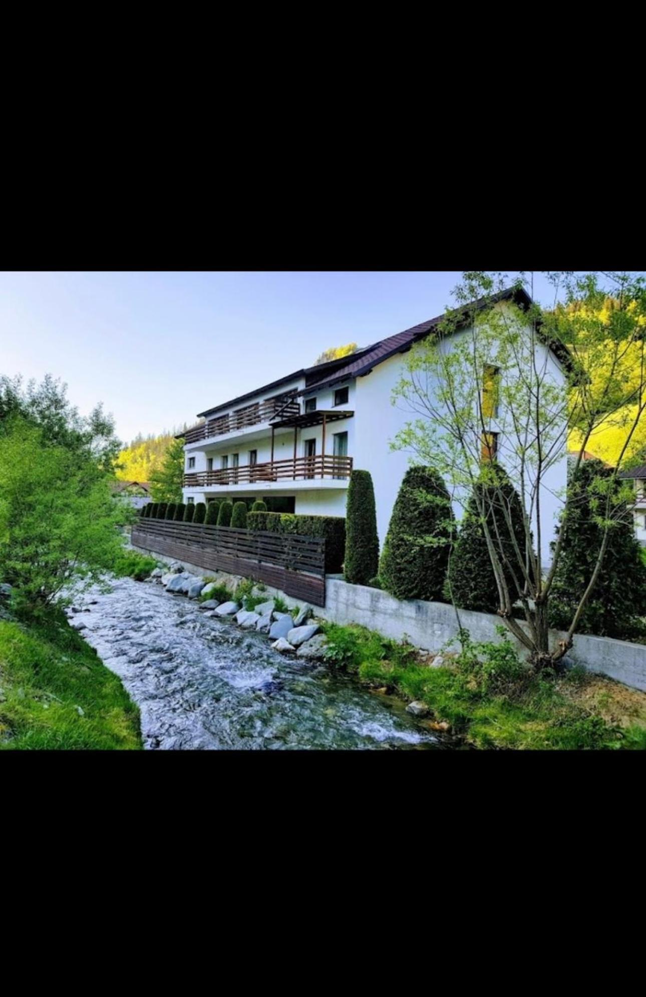 House Of River Moeciu De Sus Dış mekan fotoğraf